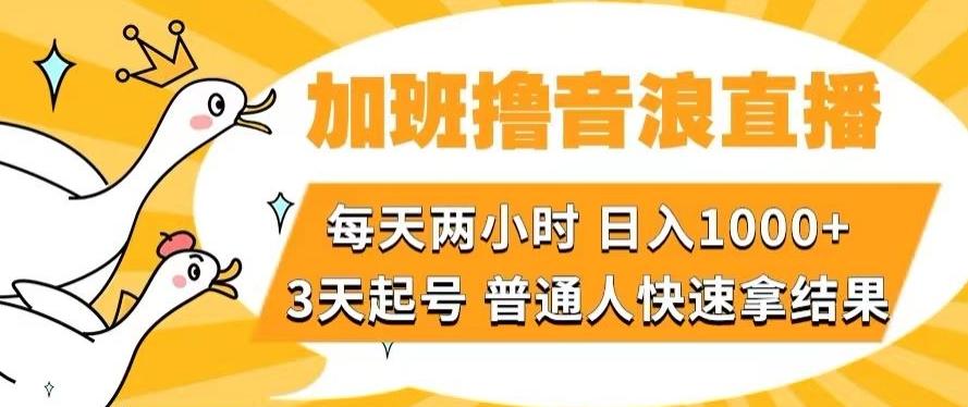 加班撸音浪直播，每天两小时，日入1000+，直播话术才3句，3天起号，普通人快速拿结果【揭秘】-有道资源网