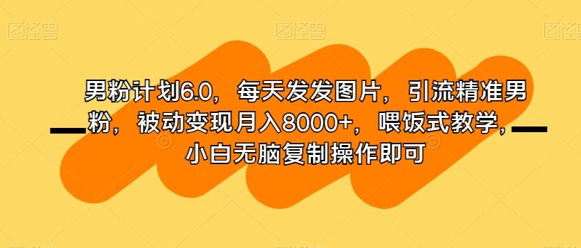 男粉计划6.0，每天发发图片，引流精准男粉，被动变现月入8000+，喂饭式教学，小白无脑复制操作即可-有道资源网