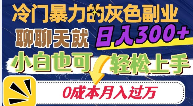 冷门暴利的副业项目，聊聊天就能日入300+，0成本月入过万【揭秘】-有道资源网