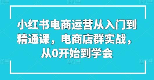 小红书电商运营从入门到精通课，电商店群实战，从0开始到学会-有道资源网