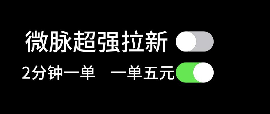 微脉超强拉新， 两分钟1单， 一单利润5块，适合小白-有道资源网