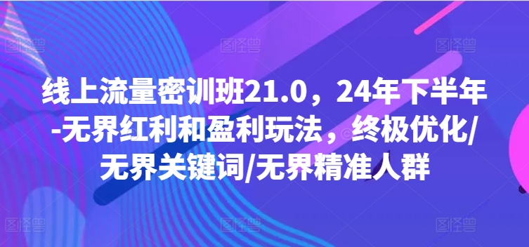 线上流量密训班21.0，24年下半年-无界红利和盈利玩法，终极优化/无界关键词/无界精准人群-有道资源网