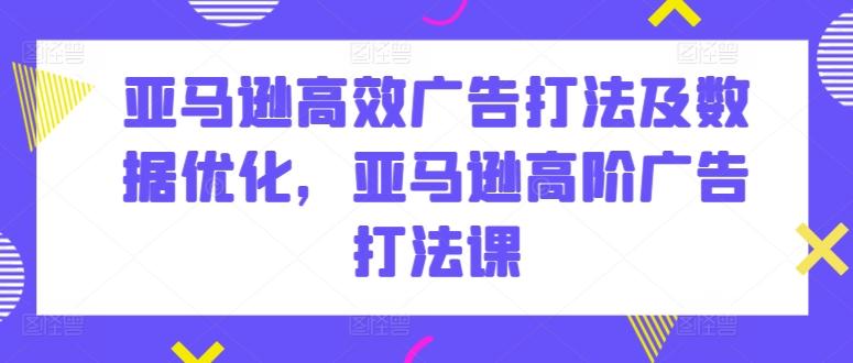 亚马逊高效广告打法及数据优化，亚马逊高阶广告打法课-有道资源网