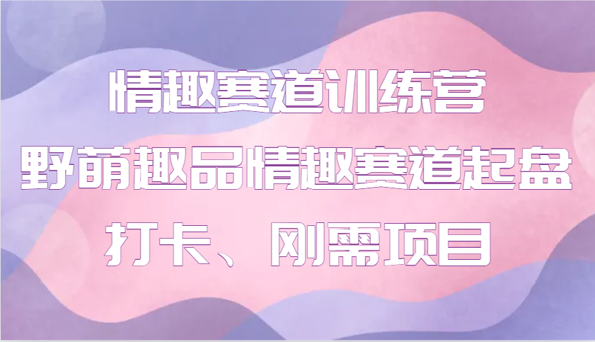 情趣赛道训练营 野萌趣品情趣赛道起盘打卡、刚需项目-有道资源网