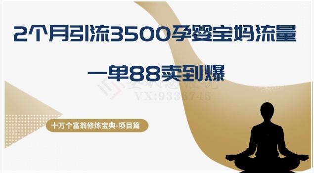 十万个富翁修炼宝典之13.2个月引流3500孕婴宝妈流量，一单88卖到爆-有道资源网