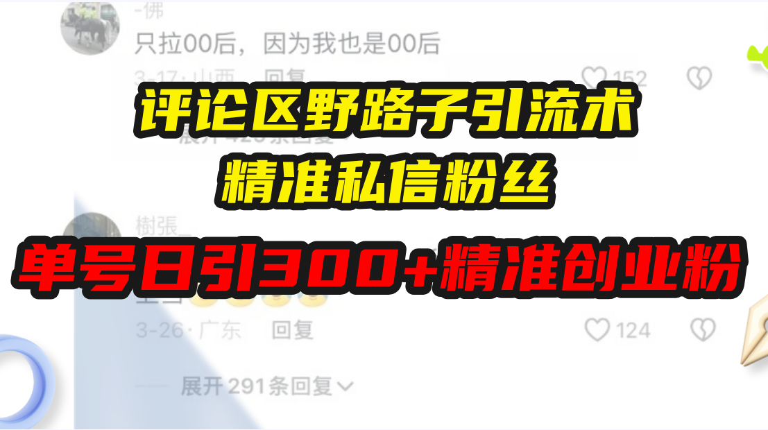 评论区野路子引流术，精准私信粉丝，单号日引流300+精准创业粉-有道资源网