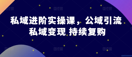 私域进阶实操课，公域引流 私域变现 持续复购-有道资源网