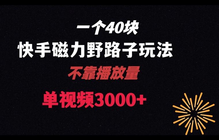 一个40块，快手联合美团磁力新玩法，无视机制野路子玩法，单视频收益4位数【揭秘】-有道资源网