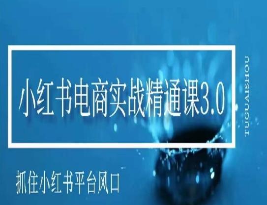 小红书电商实战精通课3.0，抓住小红书平台的风口，不错过有一个赚钱的机会-有道资源网