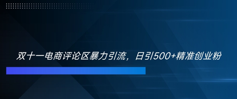 双十一电商评论区暴力引流，日引500+精准创业粉【揭秘】-有道资源网