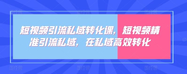 短视频引流私域转化课，短视频精准引流私域，在私域高效转化-有道资源网