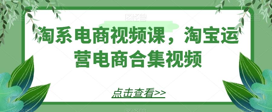 淘系电商视频课，淘宝运营电商合集视频-有道资源网