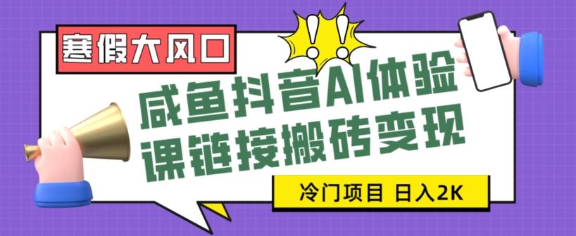 寒假大风口咸鱼抖音AI体验课链接搬砖变现，全网首发冷门项目，小白可日入2K+【揭秘】-有道资源网