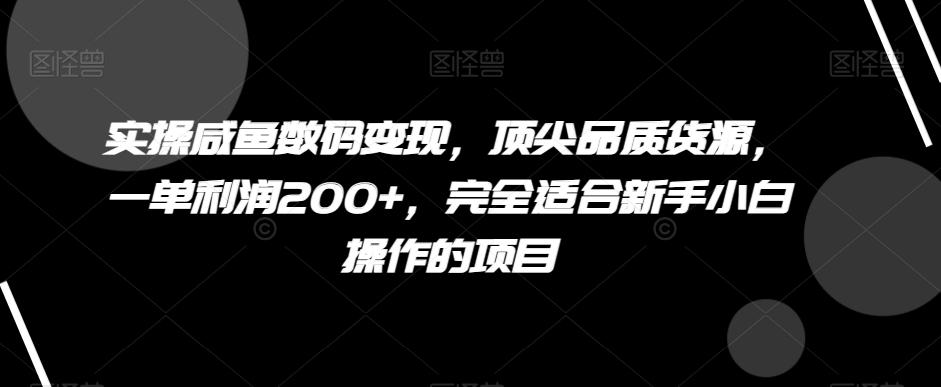 实操咸鱼数码变现，顶尖品质货源，一单利润200+，完全适合新手小白操作的项目【揭秘】-有道资源网