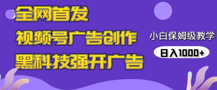 全网首发蝴蝶号广告创作，用AI做视频，黑科技强开广告，小白跟着做，日入1000+【揭秘】-有道资源网