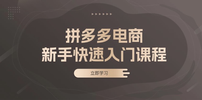 拼多多电商新手快速入门课程：涵盖基础、实战与选款，助力小白轻松上手-有道资源网