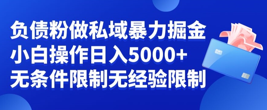 负债粉私域暴力掘金，小白操作入5000，无经验限制，无条件限制【揭秘】-有道资源网