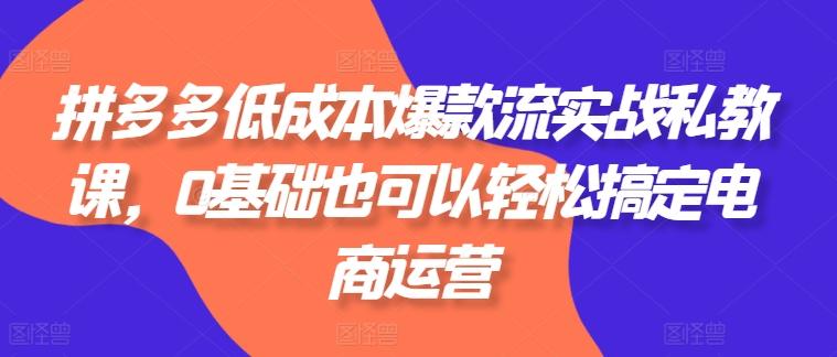 拼多多低成本爆款流实战私教课，0基础也可以轻松搞定电商运营-有道资源网