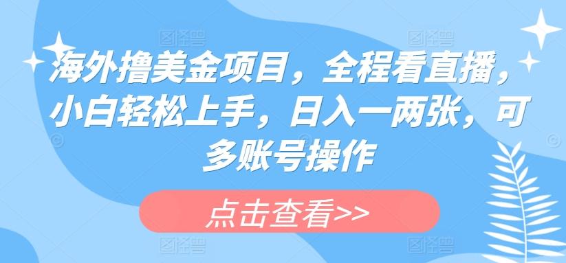 海外撸美金项目，全程看直播，小白轻松上手，日入一两张，可多账号操作【揭秘】-有道资源网