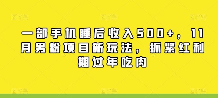 一部手机睡后收入500+，11月男粉项目新玩法，抓紧红利期过年吃肉-有道资源网