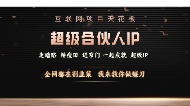 互联网项目天花板，超级合伙人IP，全网都在割韭菜，我来教你做镰刀【仅揭秘】-有道资源网