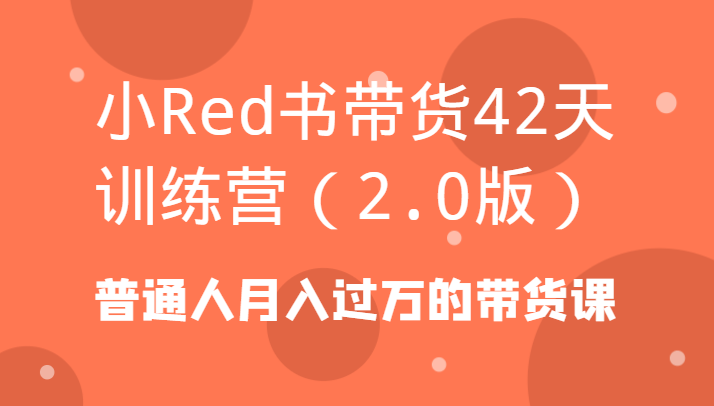 小Red书带货42天训练营(2.0版)普通人月入过万的带货课-有道资源网