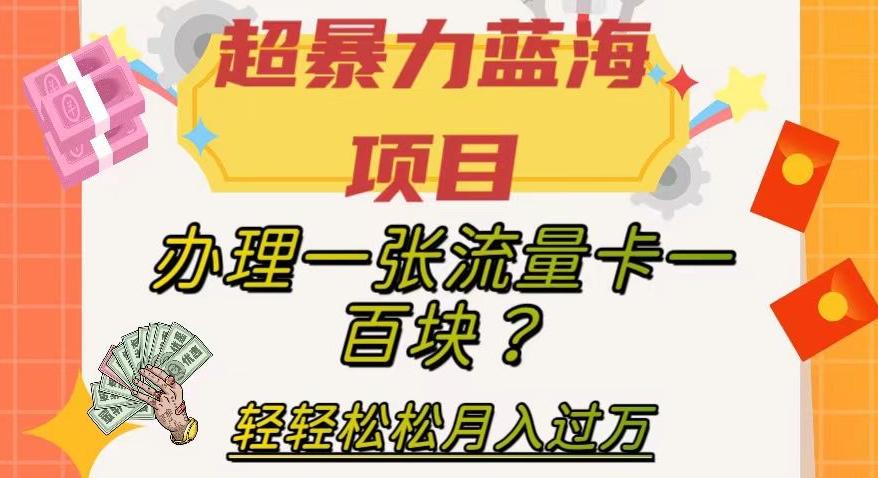 超暴力蓝海项目，办理一张流量卡一百块？轻轻松松月入过万，保姆级教程【揭秘】-有道资源网