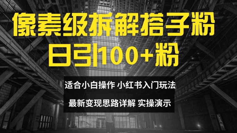 像素级拆解搭子粉，日引100+，小白看完可上手，最新变现思路详解【揭秘】-有道资源网