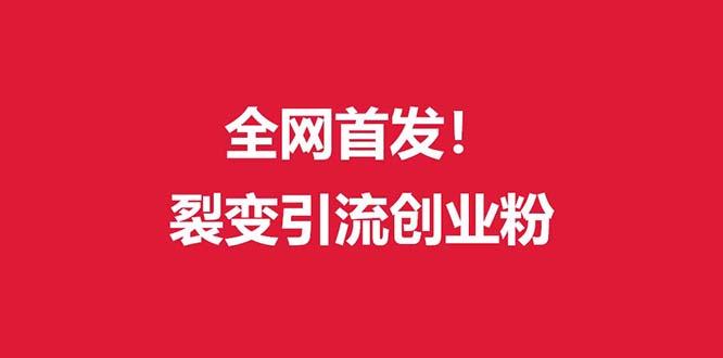 (全网首发)外面收费几千的裂变引流高质量创业粉-有道资源网