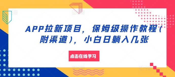 APP拉新项目，保姆级操作教程(附渠道)，小白日躺入几张【揭秘】-有道资源网