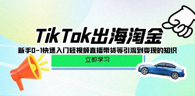 (10035期)TikTok-出海淘金，新手0-1快速入门短视频直播带货等引流到变现的知识-有道资源网