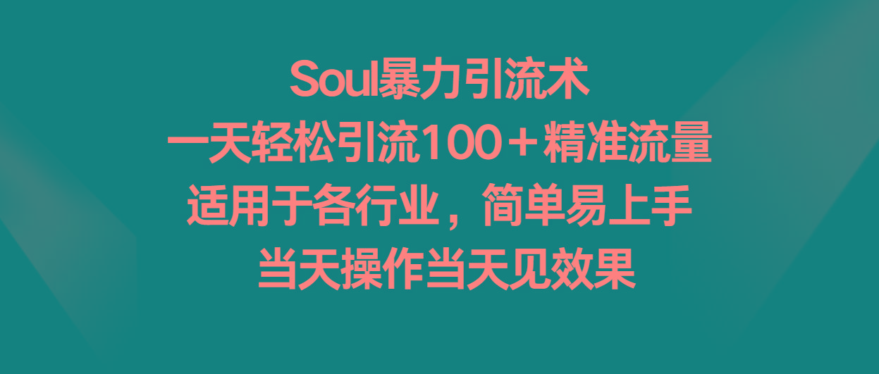 Soul暴力引流术，一天轻松引流100＋精准流量，适用于各行业，简单易上手！-有道资源网