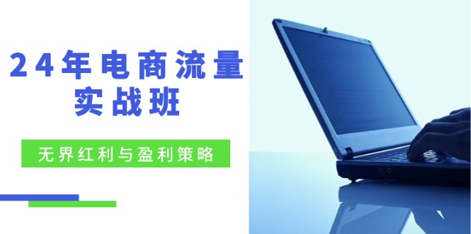 24年电商流量实战班：无界 红利与盈利策略，终极提升/关键词优化/精准…-有道资源网