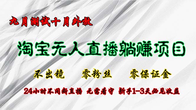 淘宝无人直播最新玩法，九月测试十月外放，不出镜零粉丝零保证金，24小…-有道资源网