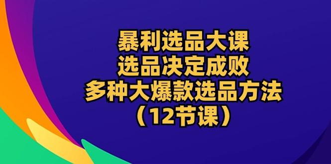 暴利 选品大课：选品决定成败，教你多种大爆款选品方法(12节课-有道资源网