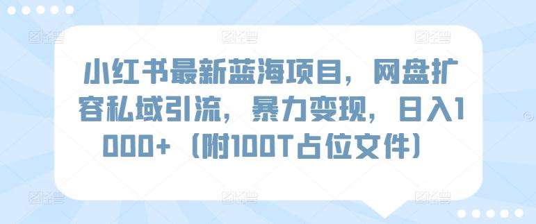 小红书最新蓝海项目，网盘扩容私域引流，暴力变现，日入1000+(附100T占位文件)【揭秘】-有道资源网