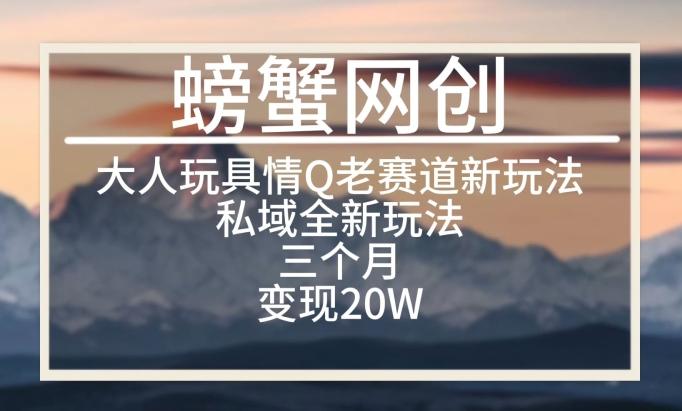 大人玩具情Q用品赛道私域全新玩法，三个月变现20W，老项目新思路【揭秘】-有道资源网